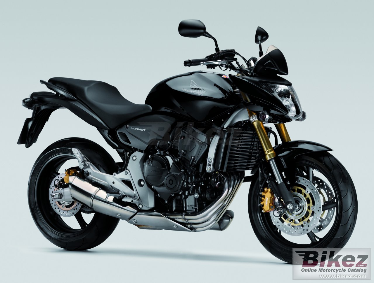 Big Honda cb 600 f hornet picture and wallpaper from Bikez.com